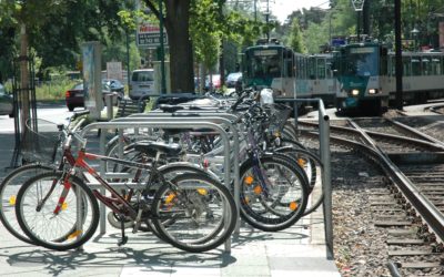 Difu-Webinar besucht