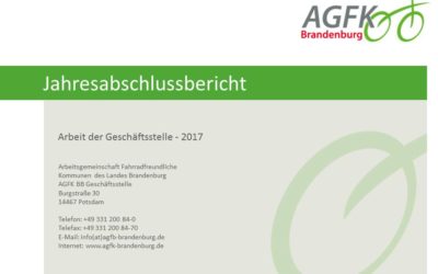 Jahresabschlussbericht 2017