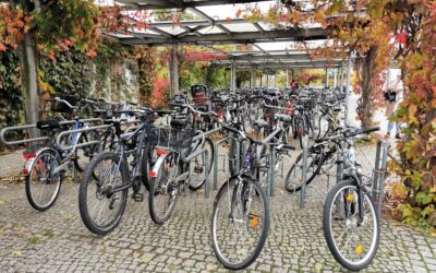 Radverkehr verdrängt ÖPNV vom dritten Platz bei der werktäglichen Nutzung