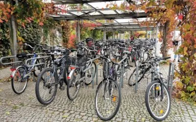 Radverkehr verdrängt ÖPNV vom dritten Platz bei der werktäglichen Nutzung