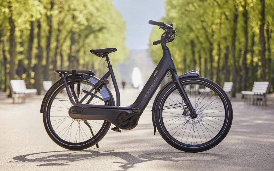 Marktdaten 2022: Fast jedes zweite verkaufte Rad ist ein E-Bike