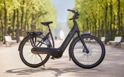 Marktdaten 2022: Fast jedes zweite verkaufte Rad ist ein E-Bike