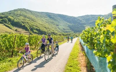 AGFFK Rheinland-Pfalz gegründet