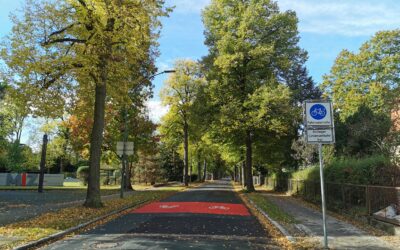 Perspektiven der Oberflächengestaltung von Radwegen im Land Brandenburg