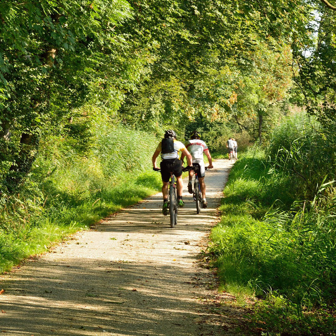 fahrradfahrer