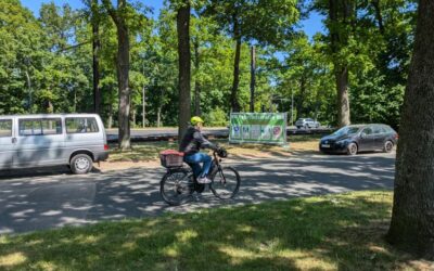 Landeshauptstadt Potsdam: 5. Fahrradstraße komplettiert